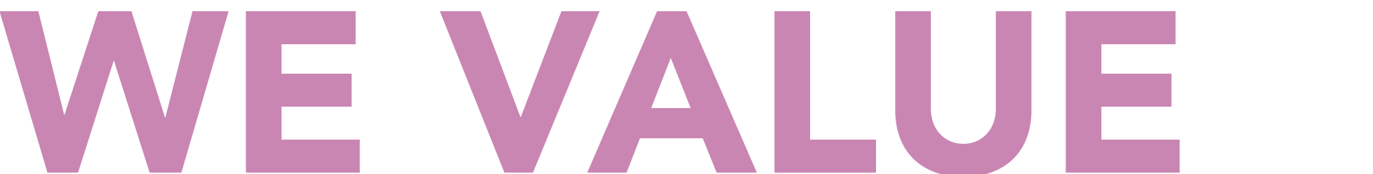 WE VALUE