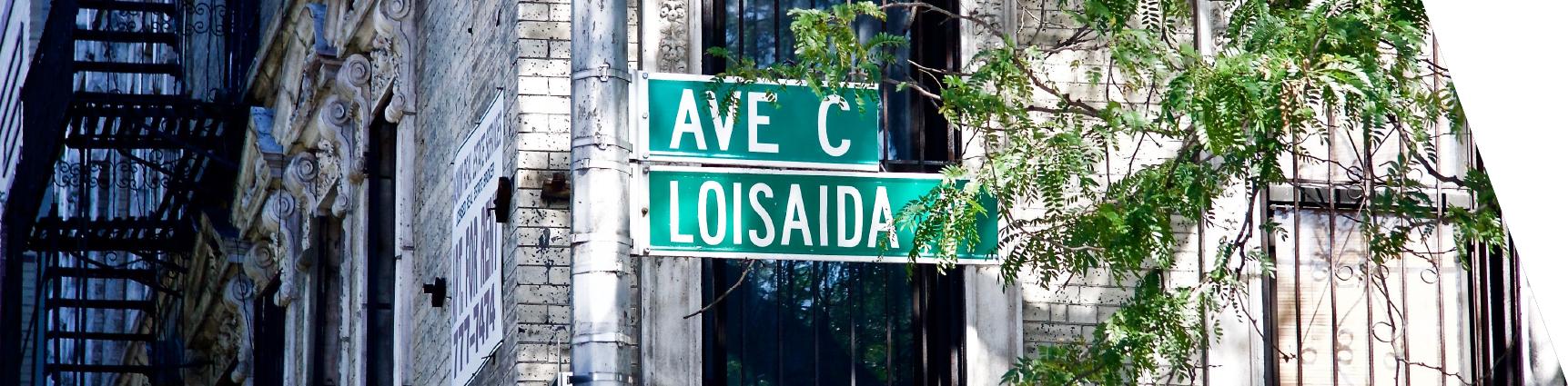 Web Banner 5